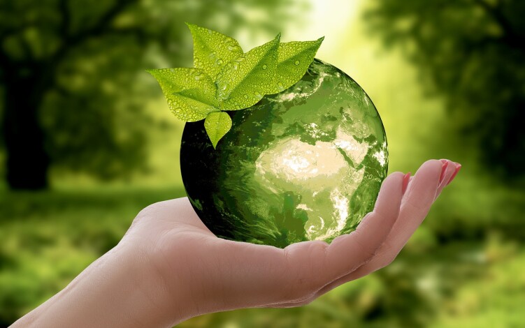 Účinná chemie šetrná k přírodě - produktová řada Greenline